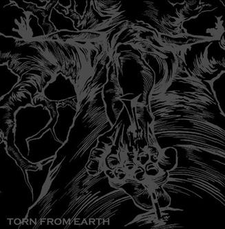 TORN FROM EARTH - Torn From Earth cover 