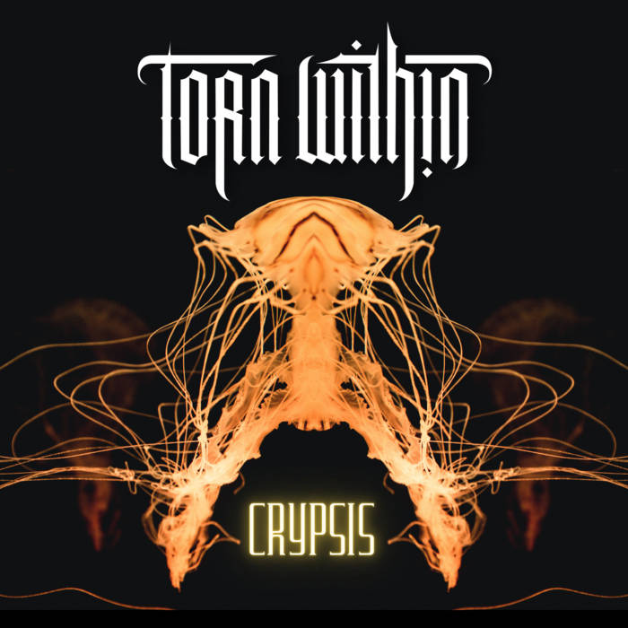 TORN WITHIN - Crypsis cover 