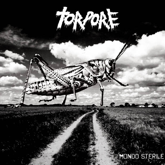 TORPORE - Mondo Sterile cover 