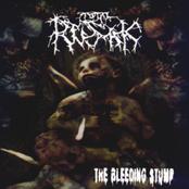 TOTAL RUSAK - The Bleeding Stump cover 
