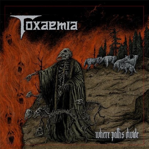 TOXAEMIA - Where Paths Divide cover 