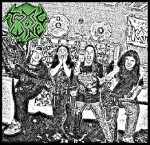 TOXIC WINE - Violencia en las Calles cover 