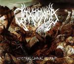 TOXOCARA - Visceral Larval Migrans cover 