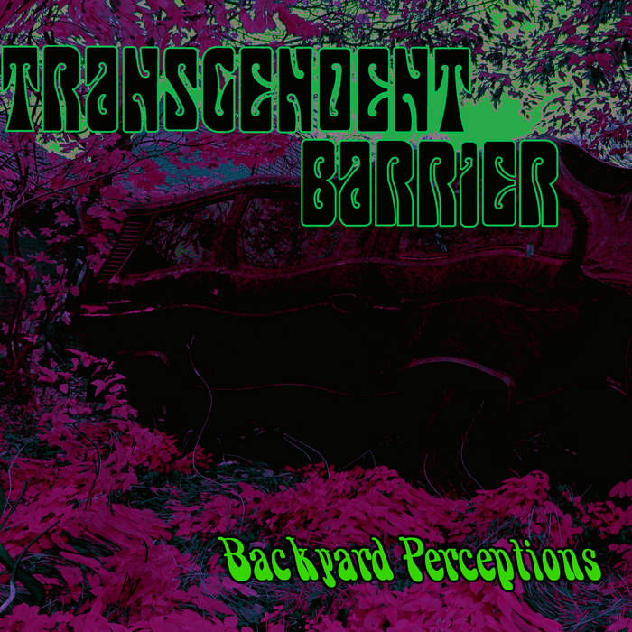 TRANSCENDENT BARRIER - Backyard Perceptions cover 