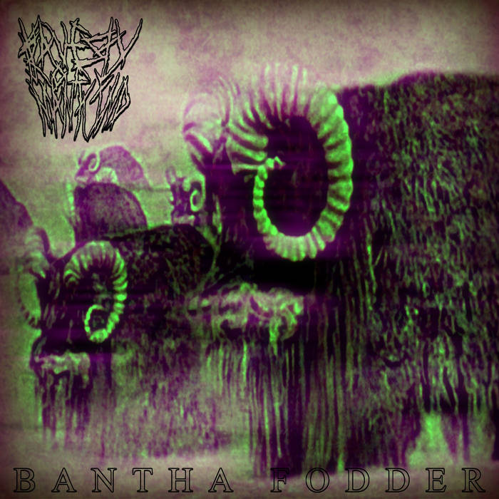 TRAVESTY OF MANKIND - Bantha Fodder cover 