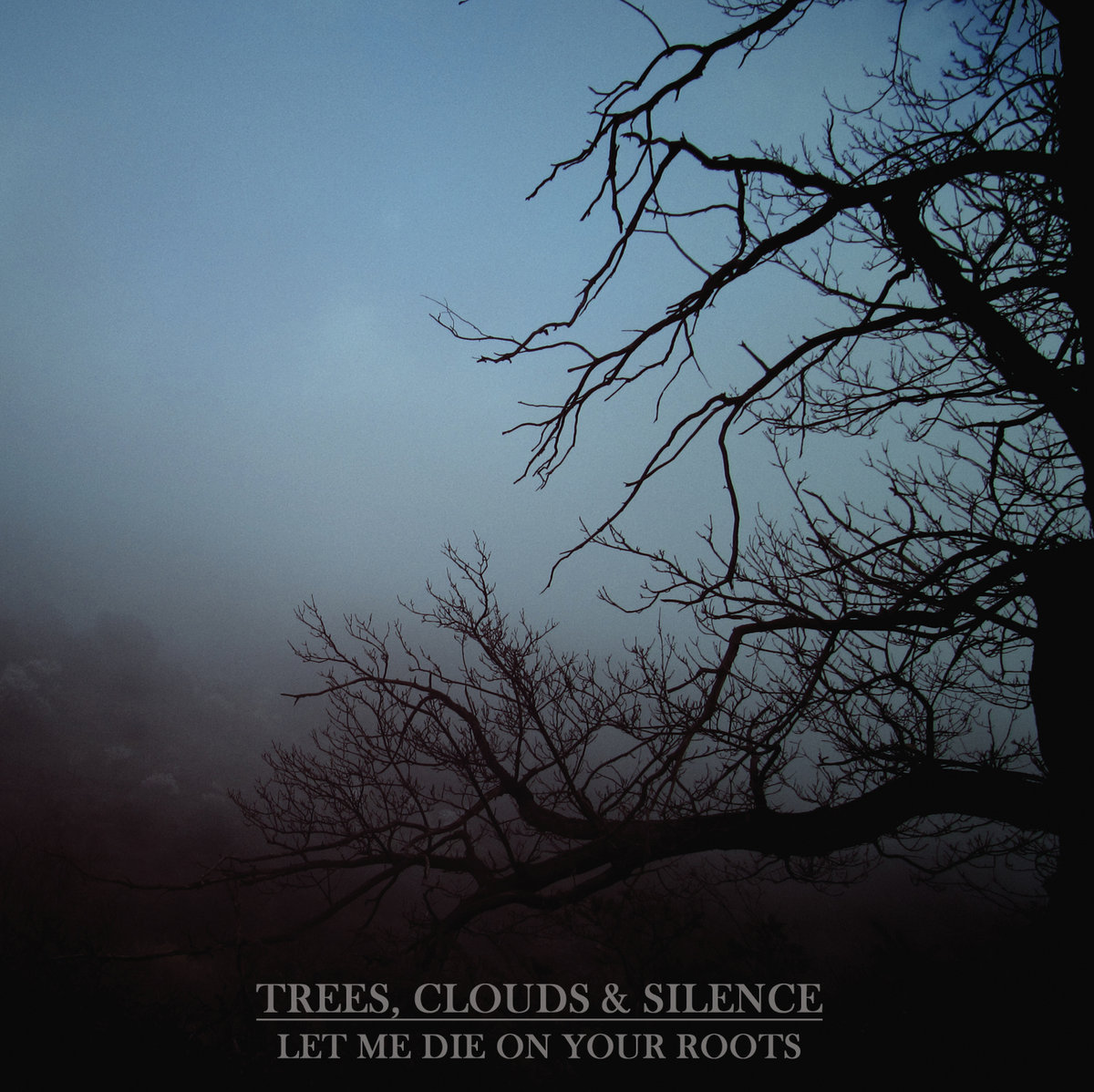 TREES CLOUDS & SILENCE - Let Me Die on Your Roots cover 