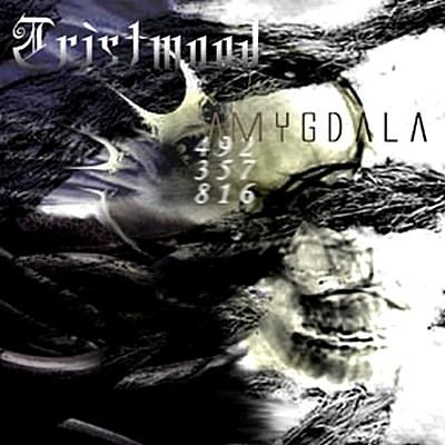TRISTWOOD - Amygdala cover 