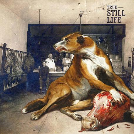TRUE - Still Life cover 