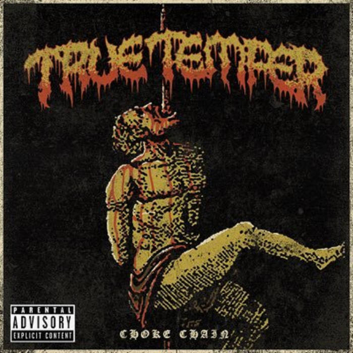 TRUE TEMPER - Choke Chain cover 