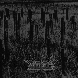 TRUPPENSTURM - Fields of Devastation cover 