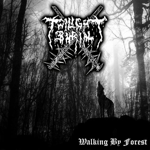 TWILIGHT BURIAL - Walking by Forest cover 