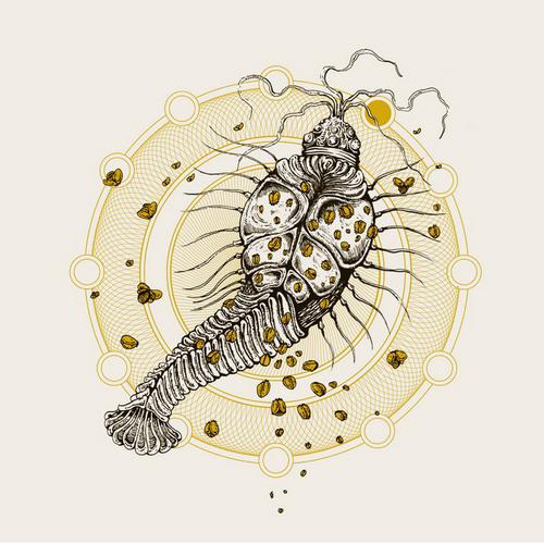 ULTRAPHALLUS - Suma / Ultraphallus cover 