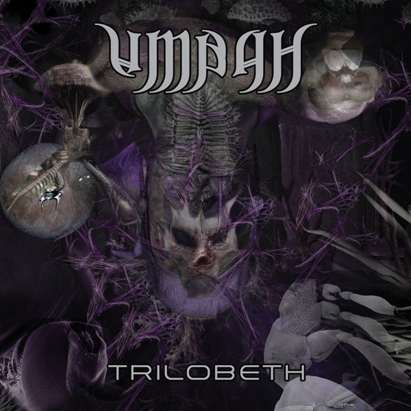 UMBAH - Trilobeth cover 