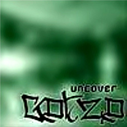 UNCOVER - Gonzo cover 