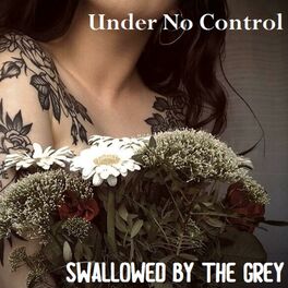 UNDER NO CONTROL - Swallowed By The Grey cover 
