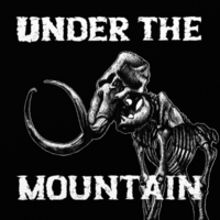 UNDER THE MOUNTAIN - Under the Mountain cover 