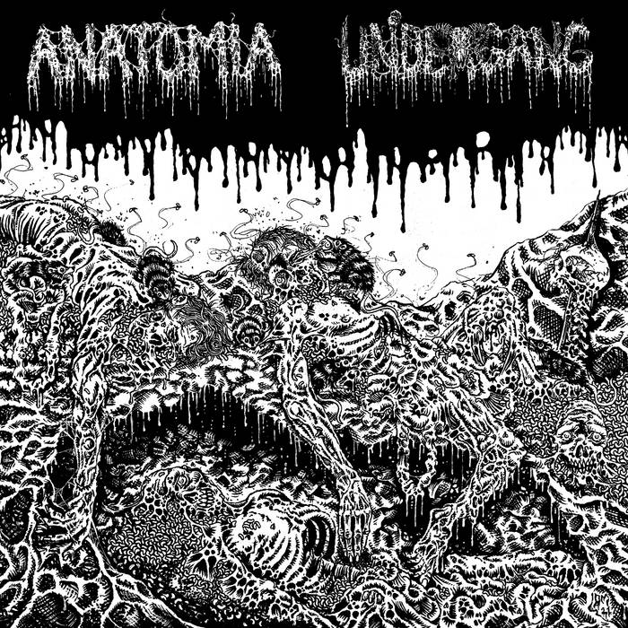 UNDERGANG - Anatomia / Undergang cover 