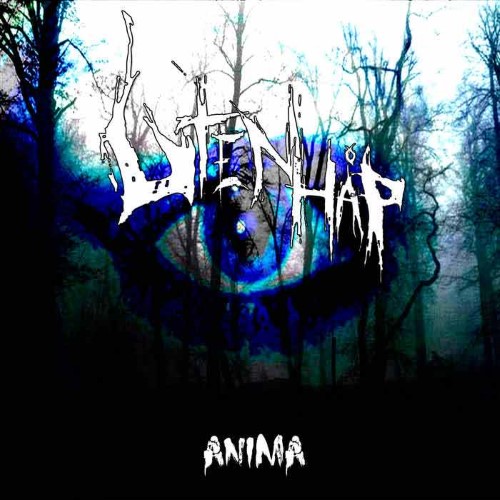 UTEN HÅP - Anima cover 