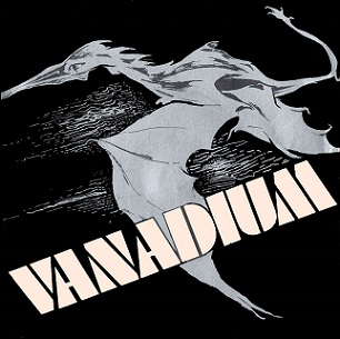 VANADIUM - We Want Live Rock'n'Roll / Heavy Metal cover 