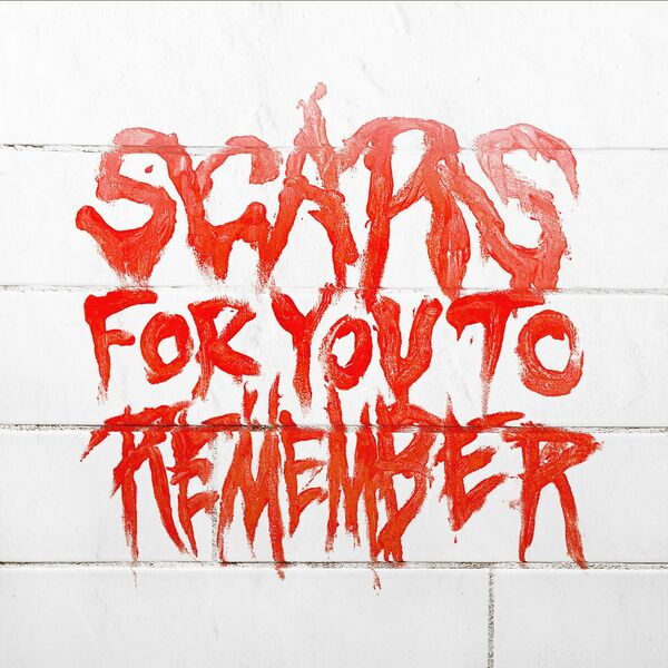 VARIALS - Scars For You To Remember cover 