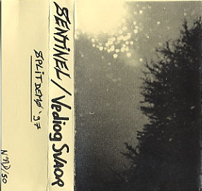 VEDIOG SVAOR - Sentinel / Vediog Svaor cover 