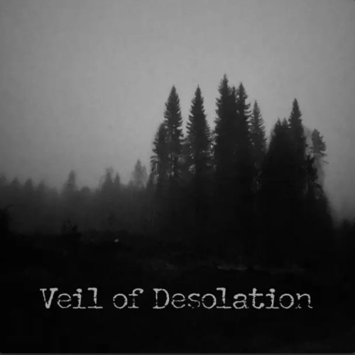 VEIL OF DESOLATION - Before I Close My Eyes cover 