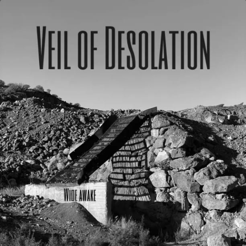 VEIL OF DESOLATION - Wide Awake cover 
