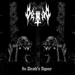 VEIRG - In Death's Agony cover 