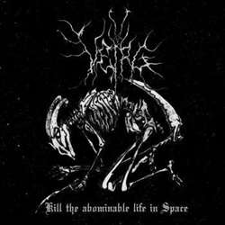 VEIRG - Kill the Abominable Life in Space cover 