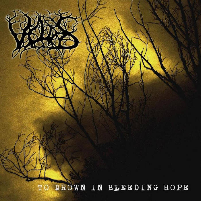 VELDES - To Drown in Bleeding Hope cover 