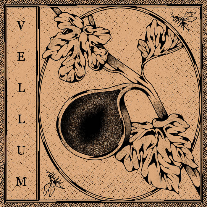 VELLUM - Demo cover 
