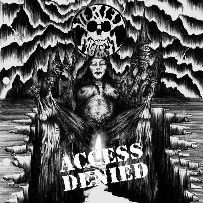 VERVET MONKEY - Access Denied cover 