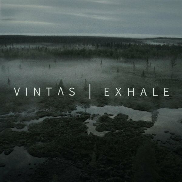 VINTAS - Exhale (Remix) cover 
