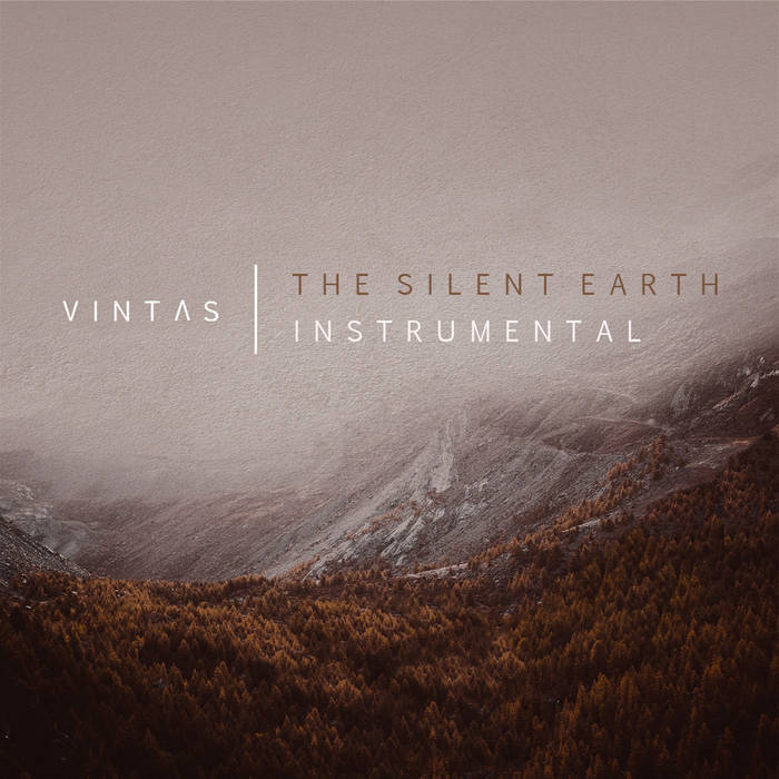 VINTAS - The Silent Earth (Instrumental) cover 