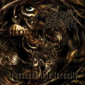 VISCERAL BLEEDING - Transcend Into Ferocity cover 