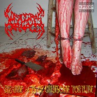 VISCERAL CARNAGE - Bizarre Acts of Gruesome Torture cover 