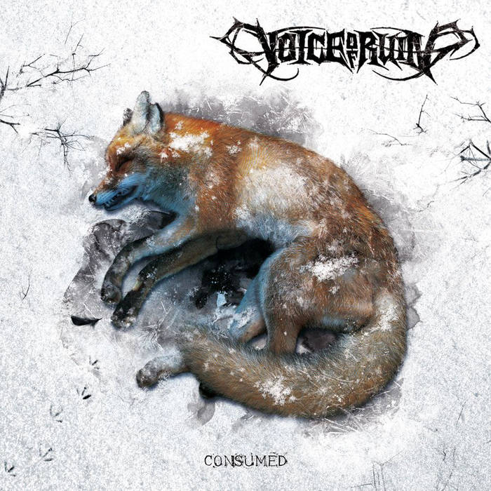 VOICE OF RUIN - Consumed cover 
