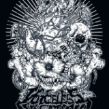 VOICELESS LOCATION - Breeding The Parasite Infection cover 