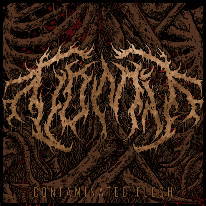 VOMIT - Contaminated Flesh cover 