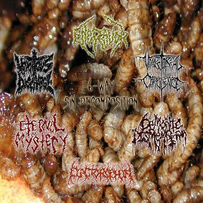 VOMITOUS DISCHARGE - 6-Way Sin Decomposition cover 