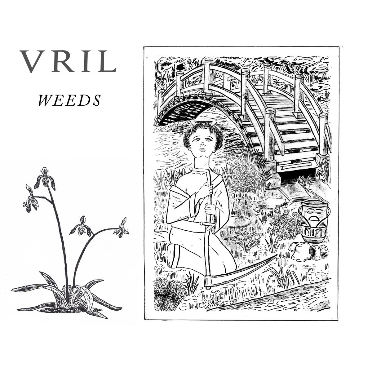 VRIL - Weeds cover 