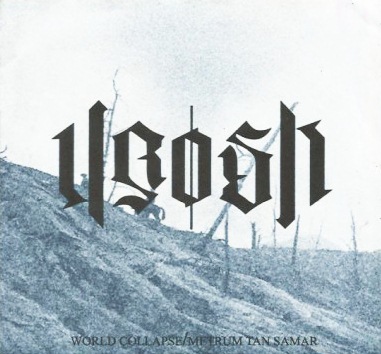 VROSK - World Collapse / Metrum Tan Samar cover 