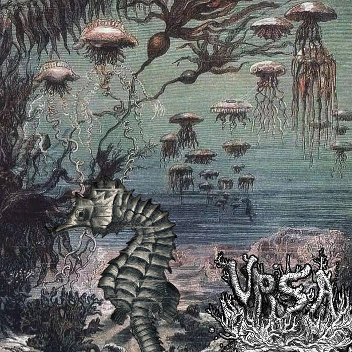 VRSA - Saltwater Circadian cover 