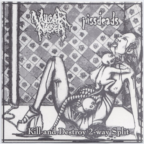 VULGAR NAUSEA - Kill And Destroy 2-Way Split ‎ cover 