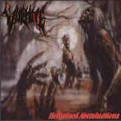 VULTURE - Hellraised Abominations cover 
