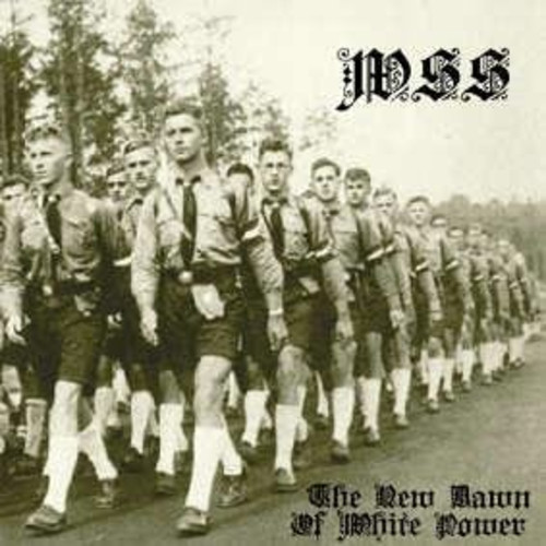 WAFFEN SS - The New Dawn of White Power cover 
