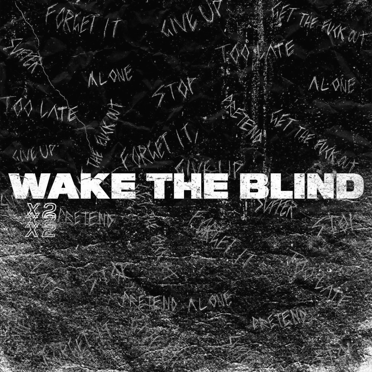 WAKE THE BLIND - X2 cover 