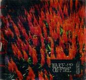 WAKE UP ON FIRE - Wake Up On Fire cover 