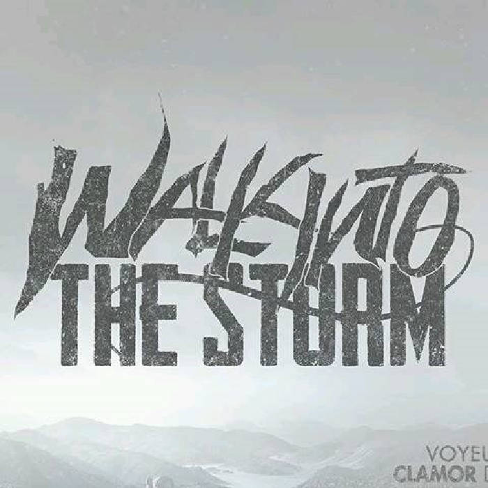 WALK INTO THE STORM - Coma cover 