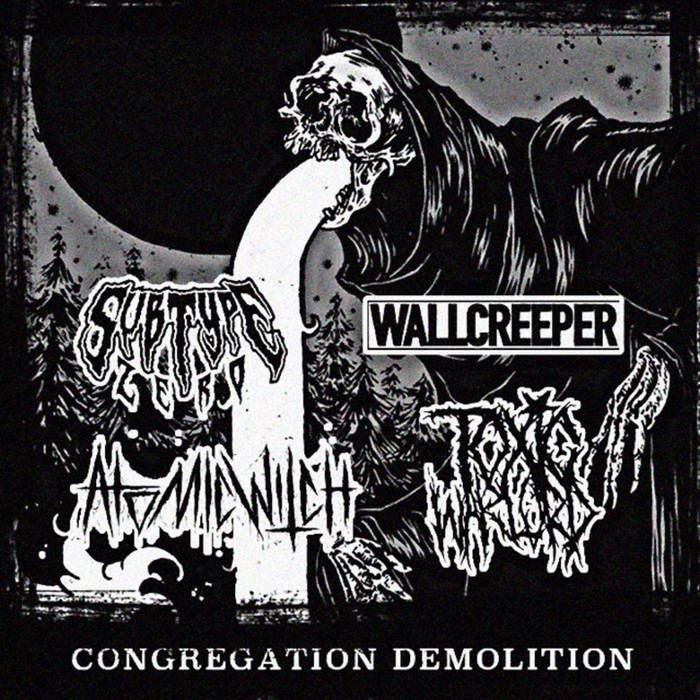 WALLCREEPER - Congregation Demolition cover 